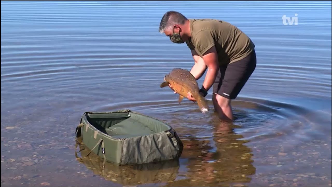 ALTO RABAG&Atilde;O | VI PIS&Otilde;ES CARP CLASSIC | TVI