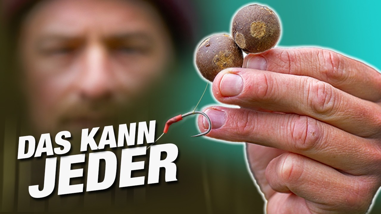 Mein einfaches Rig zum Karpfenangeln mit großen Boilies (fängt überall)