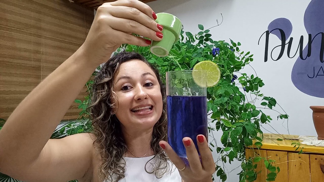 Chá Azul - Você conhece a flor fada azul (Clitória ternatea)? #Plantamedicinal