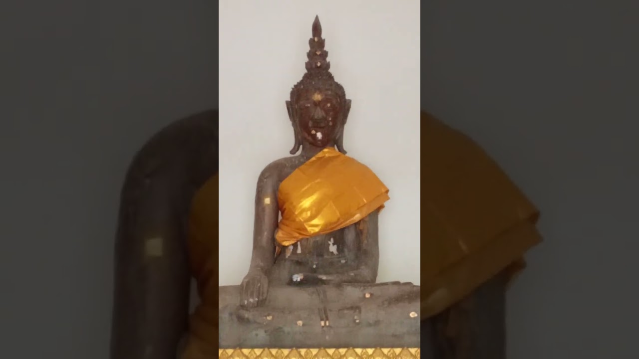 วัดในเมืองยโสธร.หลวงตาพวง