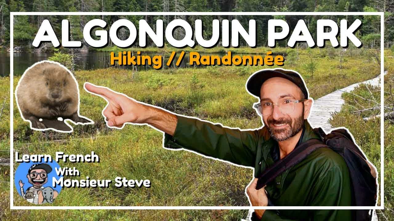 Virtual Field Trip // Hiking In Algonquin Park // Looking For Beavers // French For Kids & Beginners