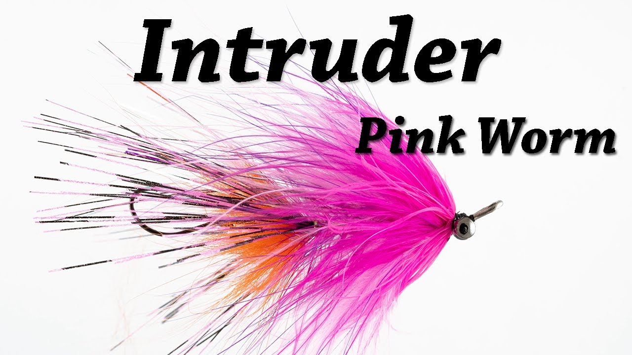 Pink Worm Intruder | Steelhead Fly Tying 4k