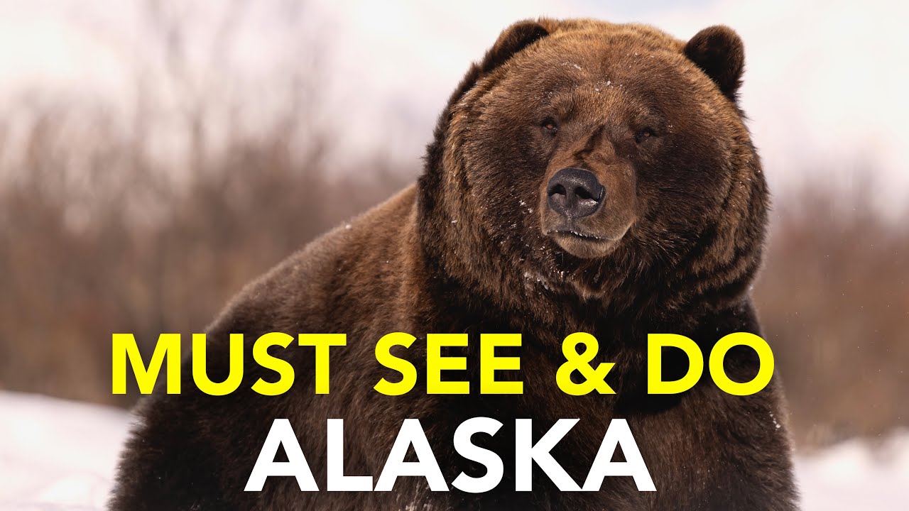 Must See & Do: The Great State of Alaska 🇺🇸