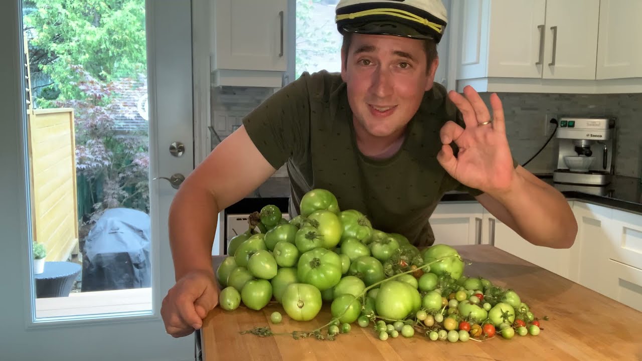 Ketchup vert