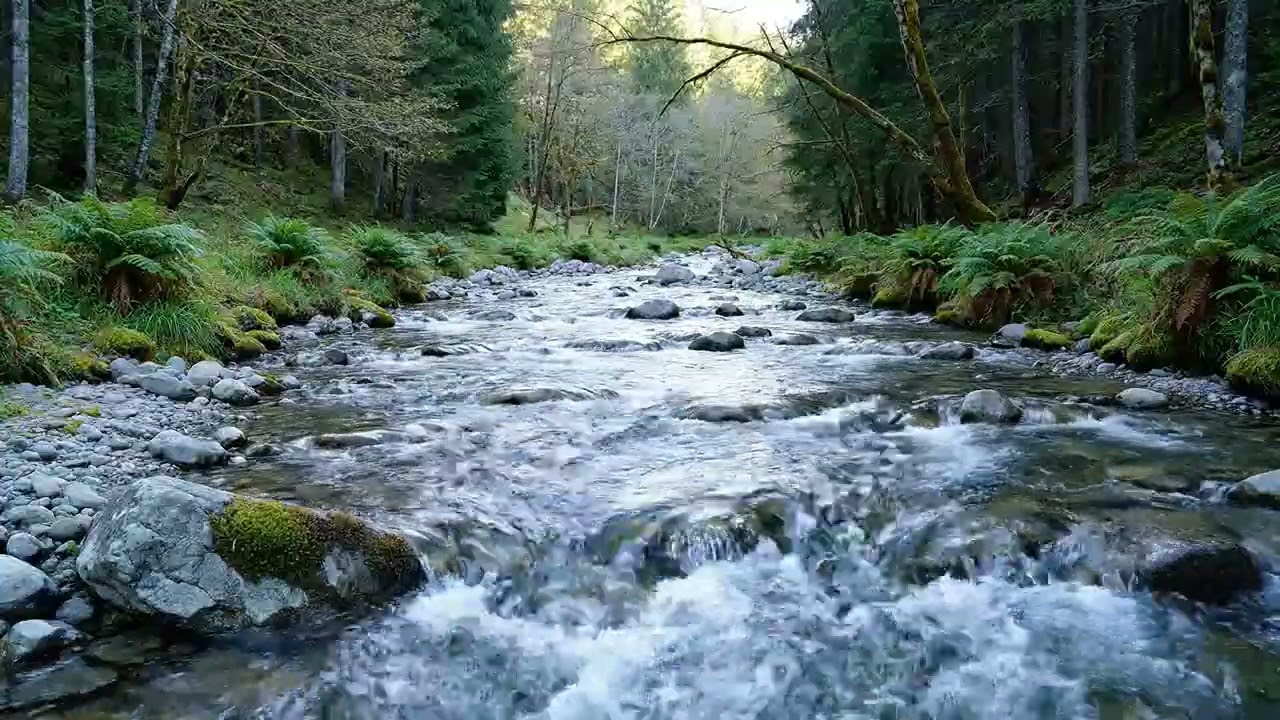 Deep Focus River Ambience for Studying and Creative Work (1 hours)