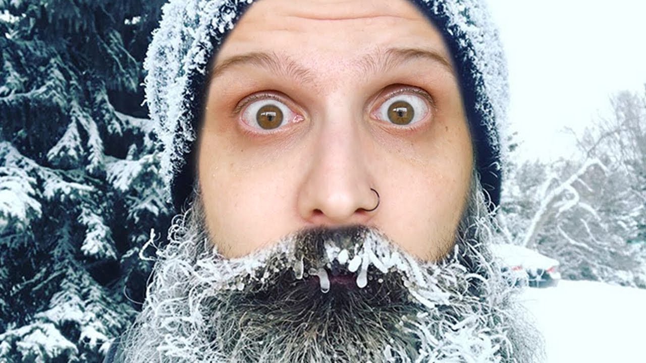 O PIOR TRAIDOR DO PROJECT WINTER! ft.Bitgamer, Alanzoka, Phoenix, Vx, Galaxy, Fall