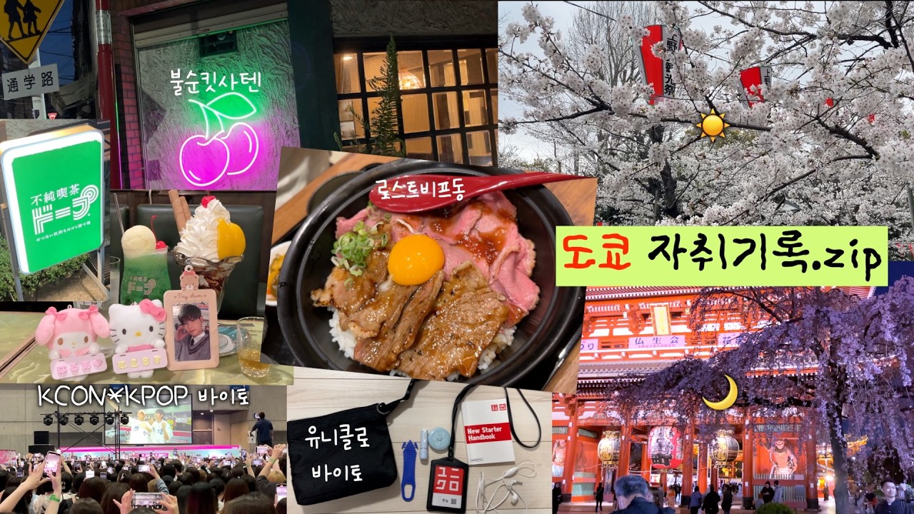 도쿄의 벚꽃과 워홀 알바 이야기.. 유니클로&케이팝 바이토. tokyo vlog. 분좋카 킷사텐. 우에노 먹로드. 교토 우지의 꼽사리 추억.. | 도쿄 워홀 | 우에노편