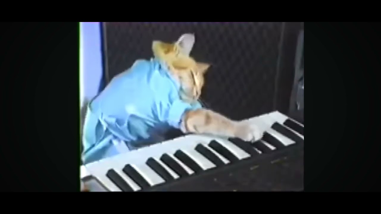 1984 Keyboard Cat
