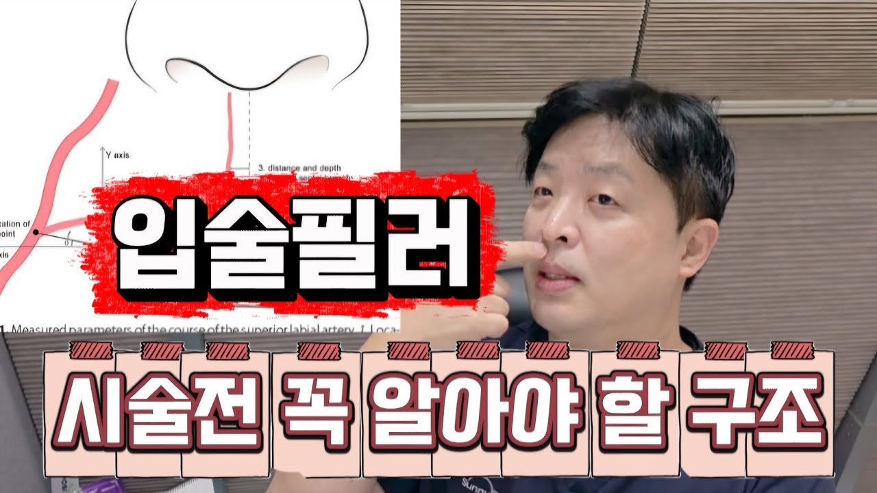 입술필러하기전에 꼭 알아야할 해부학! 안전한 입술필러를 위한 구조
