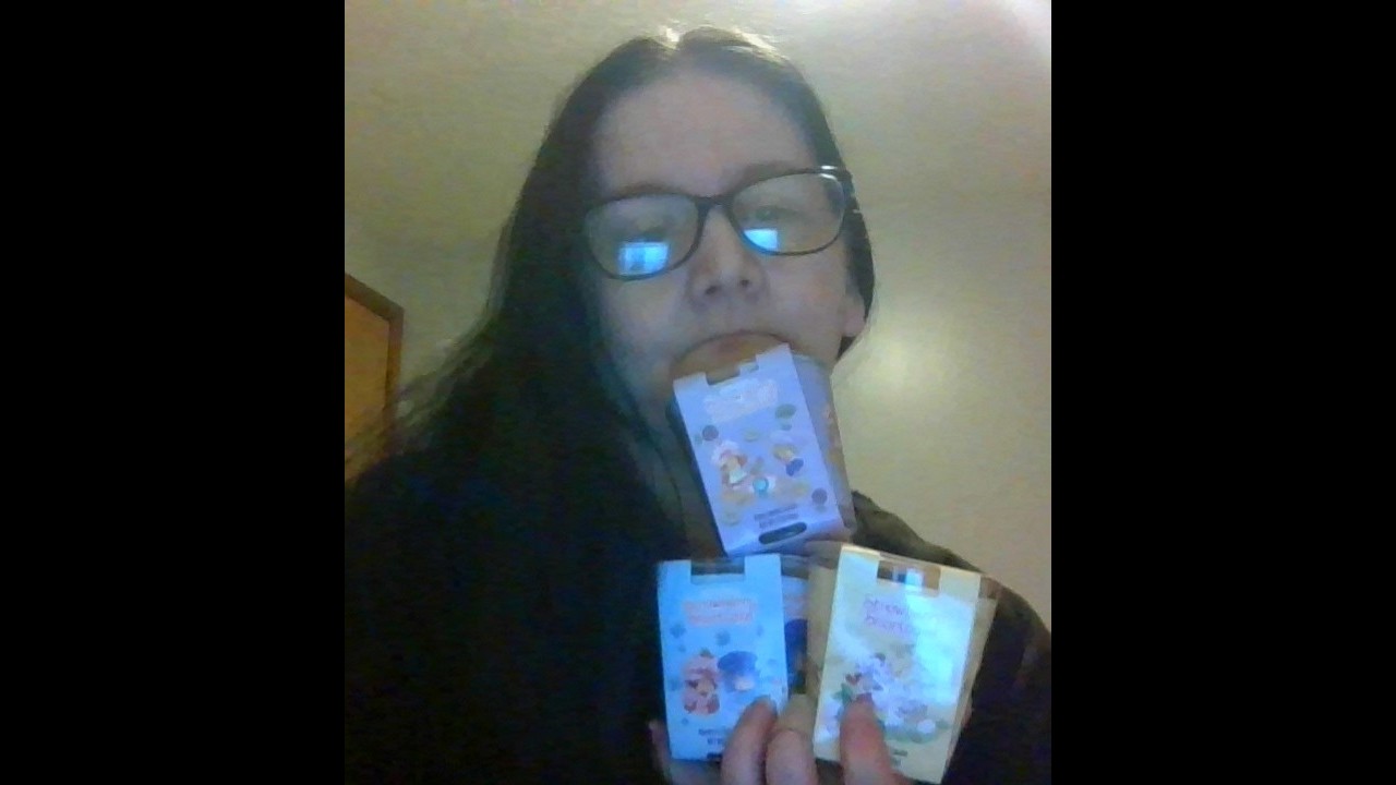 DOLLAR TREE HAUL