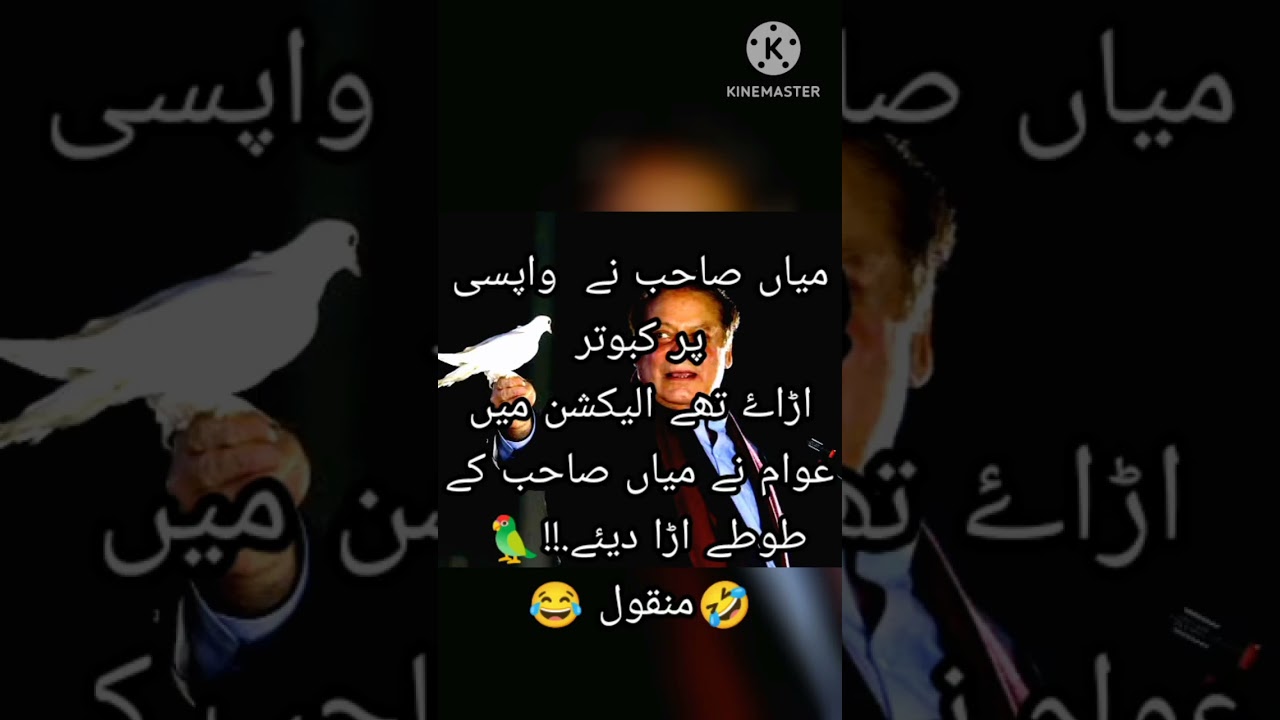 😭سیاسی لطیفے 🤣 | Nawan sharif win 17 seats | PMLN | PTI| ELECTION 2024 |Rigging| imran khan|