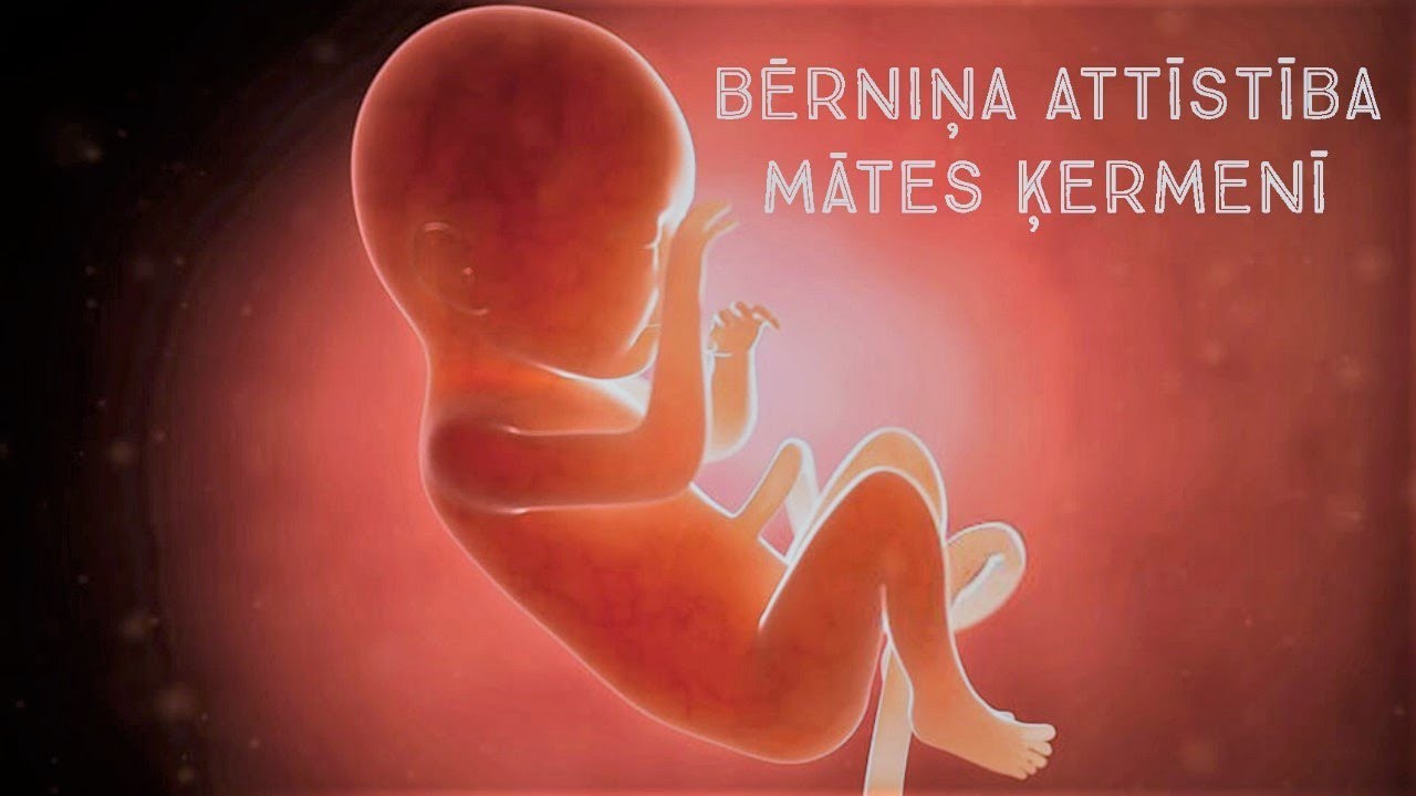 Bērniņa attīstība mātes ķermenī
