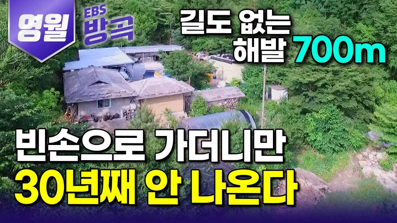 [강원 영월] 땅 한 평 가져보는 게 소원이던 가난한 부부 둘이 길도 없는 산골짜기 빈손으로 찾아와 30년 가꿨더니｜골짜기 통째로 단둘만 쓰는 땅부자 된 부부｜#한국기행 #방방곡곡