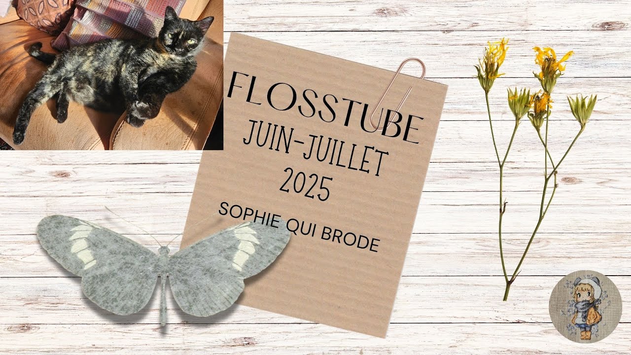 Flosstube juin juillet 2025