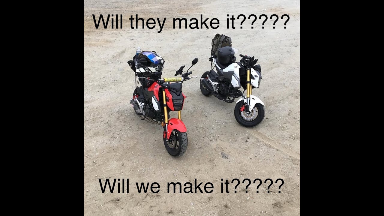 1000 MILES IN 24 HOURS ON GROMS???!!!(Full Trip)