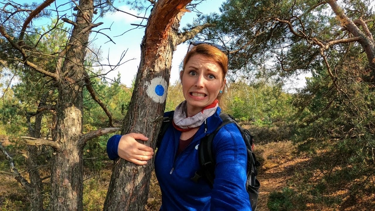 SOLO on an Island in SWEDEN with NO PLAN, NO MAP