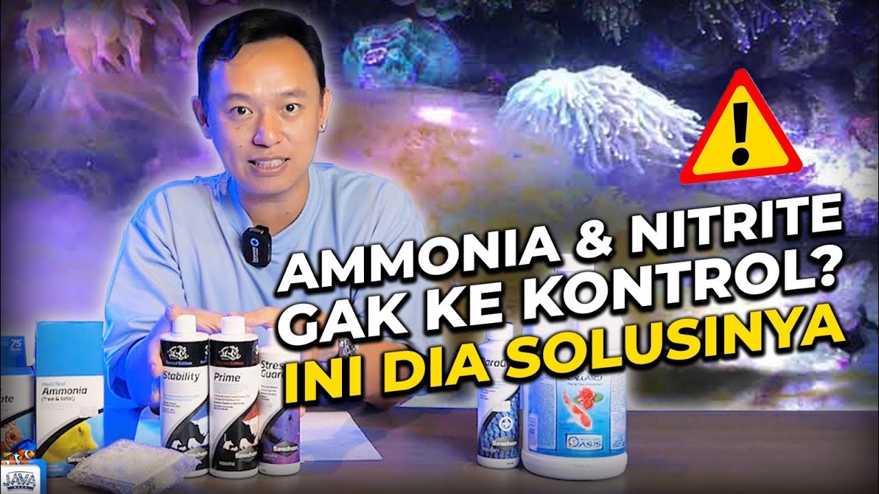 AMMONIA & NITRITE GAK KE KONTROL? INI DIA SOLUSINYA | SEACHEM MULTITEST