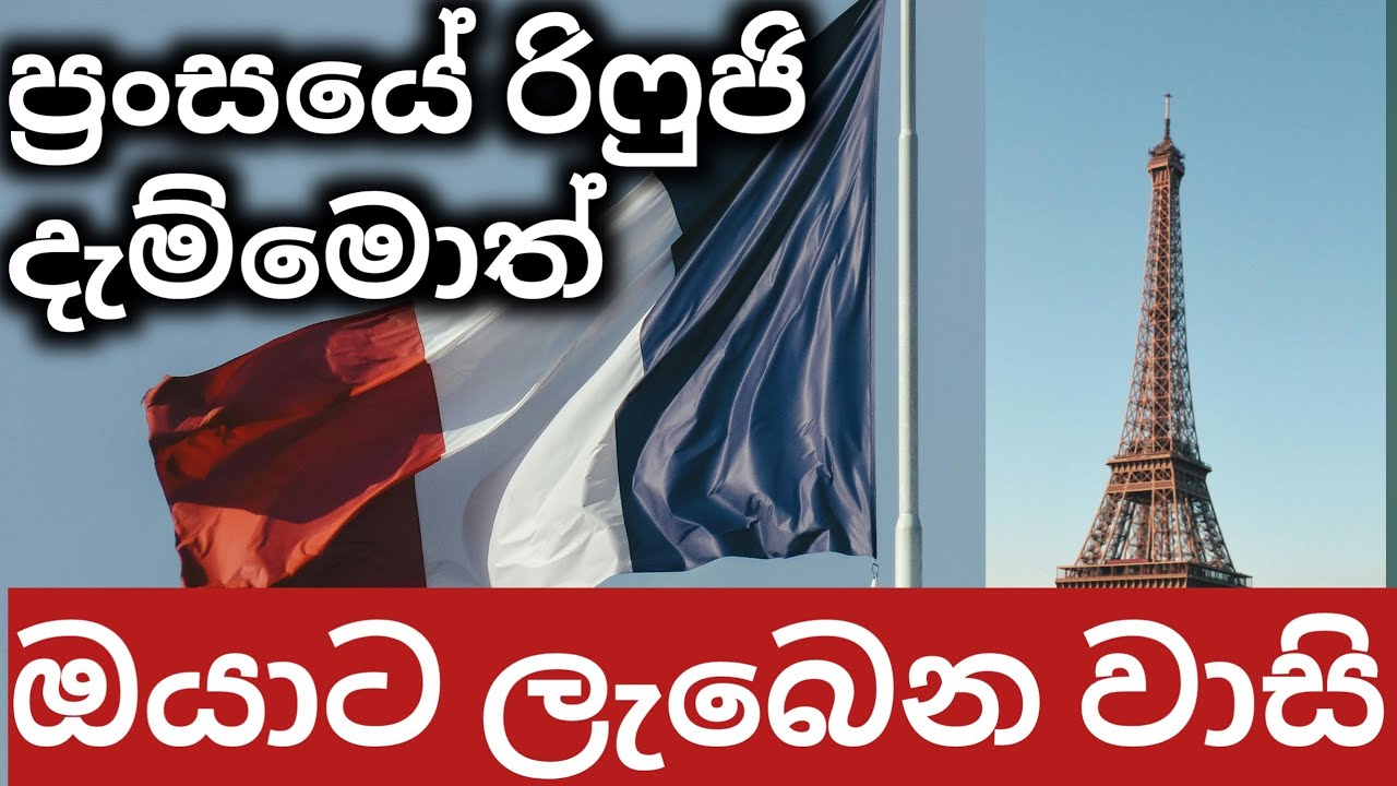 ඉතාලි වගේ නෙමේ ප්‍රංශයේ සරණාගත විසා ඉල්ලුවොත් වාසි ගොඩයි