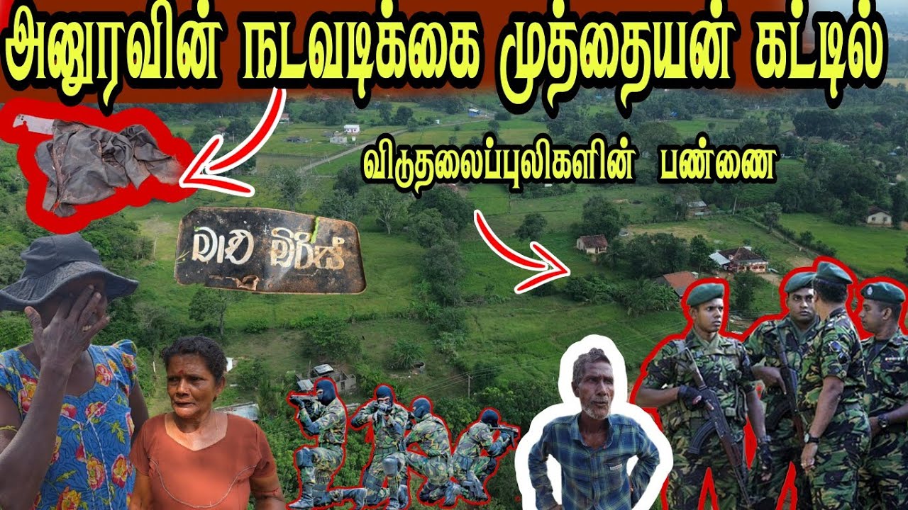 🛑 அனுரவின் நடவடிக்கை முத்தையன் கட்டில் இராணுவத்தினால் விடுவிப்பு விடுதலைப் புலிகளின்மிகப்பெரிய பண்ணை