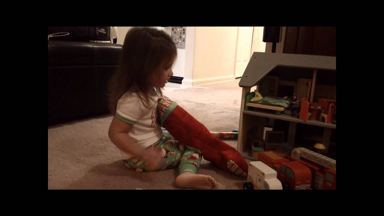 What did santa bring