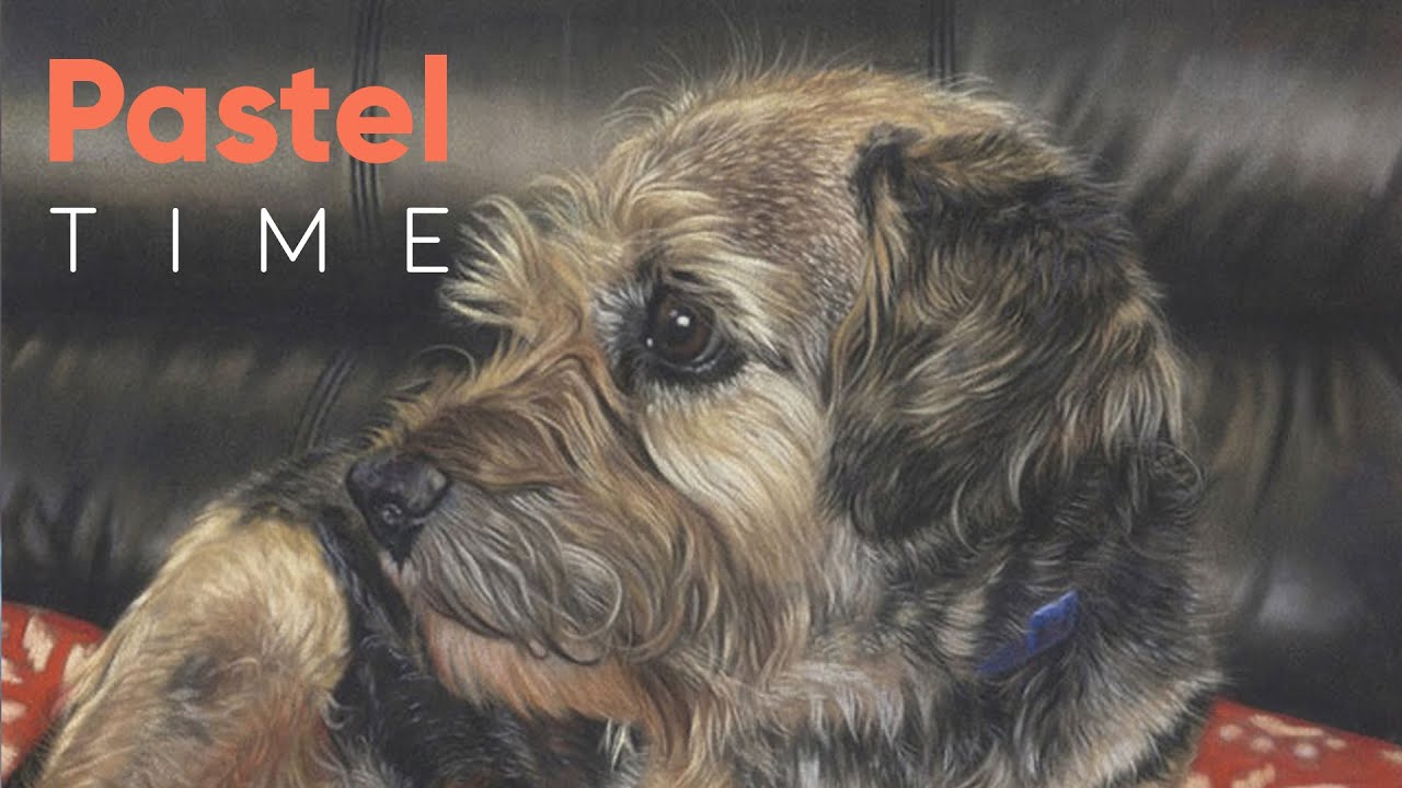 Border Terrier Pet Portrait in Soft Pastel - Timelapse