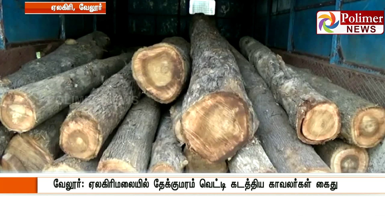 Vellore : Police arrested for smuggling teak wood | Polimer News
