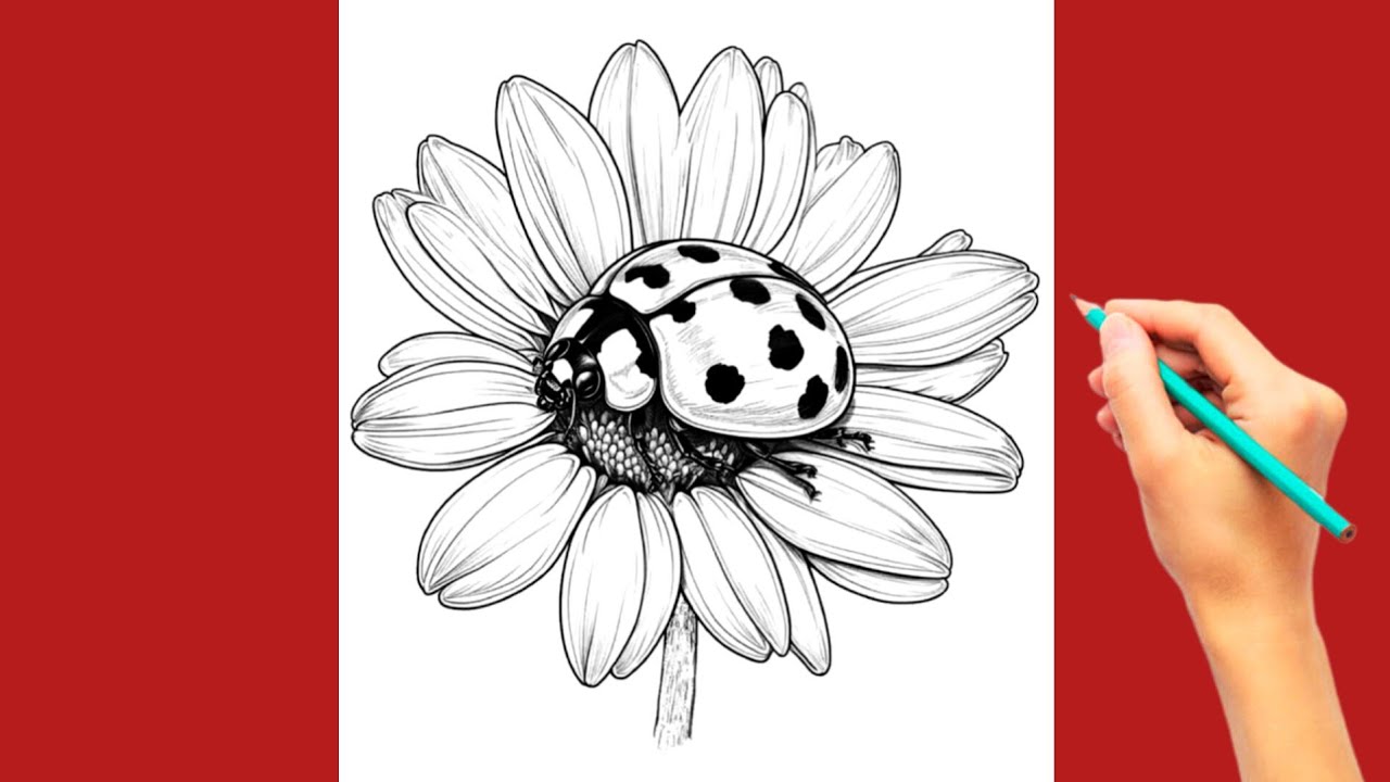 How to Draw a Ladybug on a Flower 🌼🐞 | Easy Pencil Sketch for Beginners