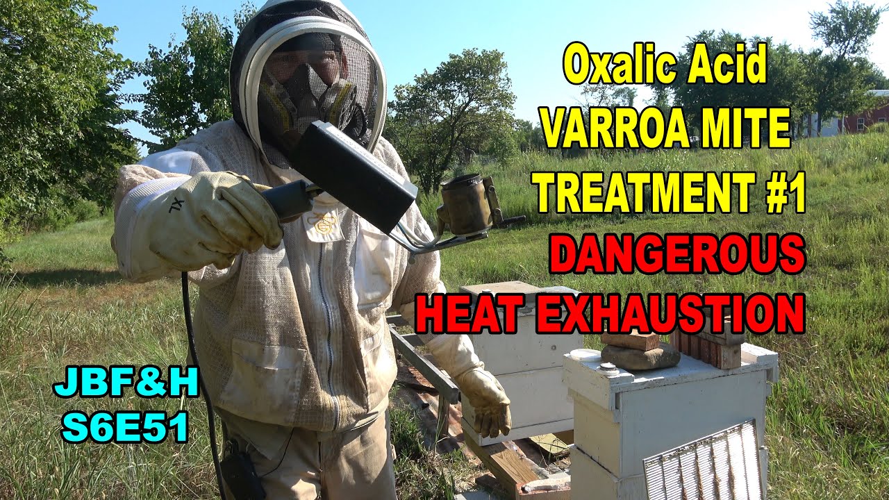 Bee Hive Varroa Treatment with Oxalic Acid Vapor #beekeeping S6E51