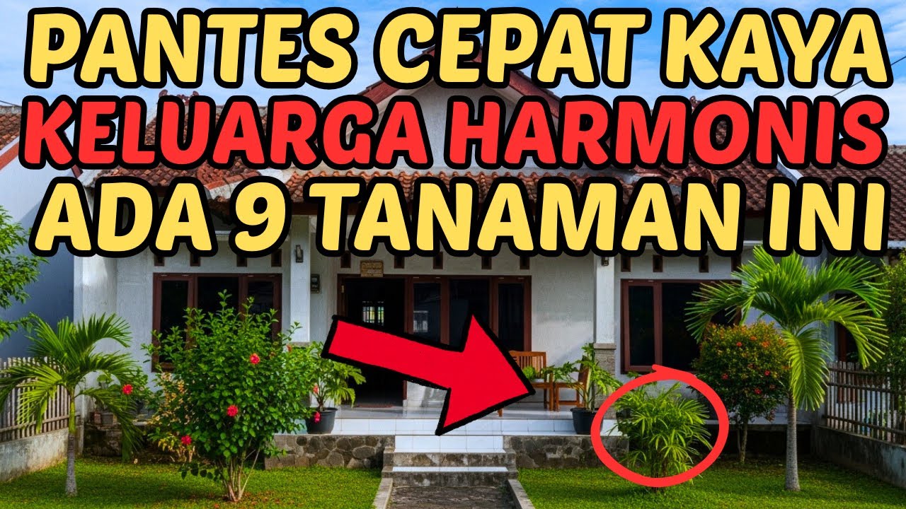 HATI HATI !! 9 Tanaman Pembawa Keberkahan Rumah Tangga | Rezeki Lancar & Hati Tenang Menurut Islam