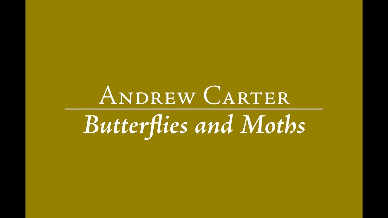 Andrew Carter: Butterflies and Moths