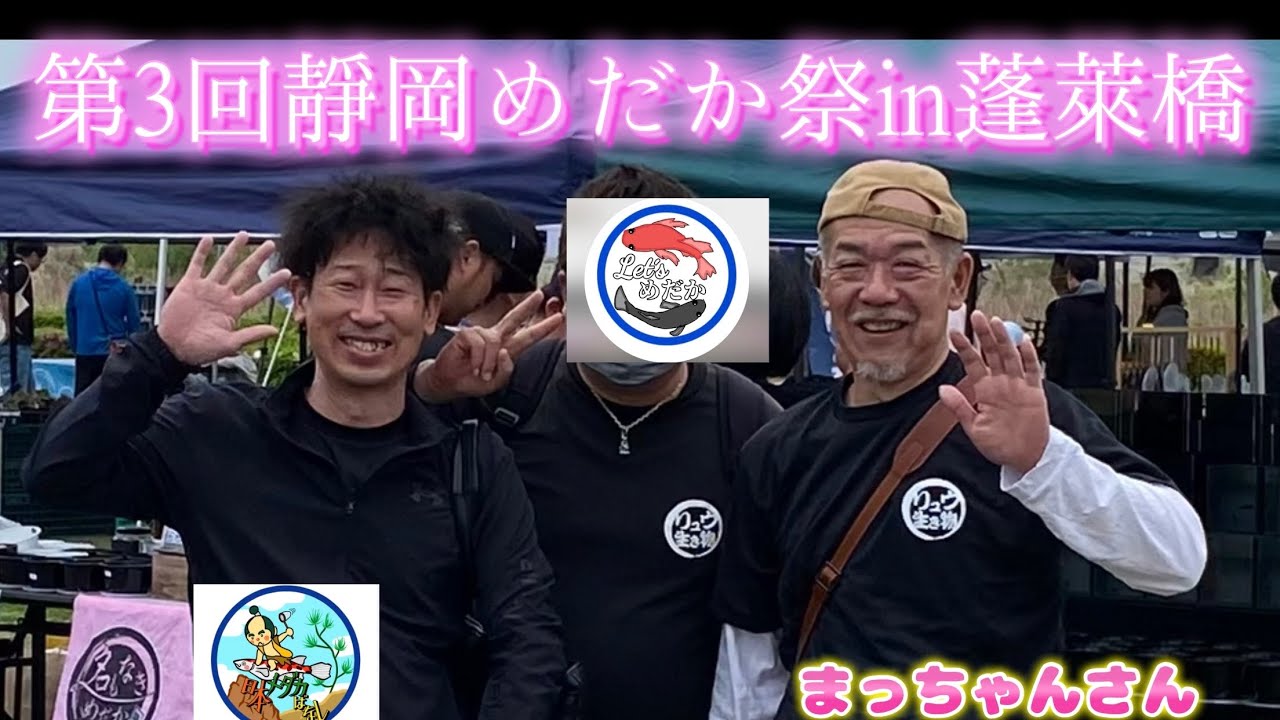 第3回静岡めだか祭in蓬莱橋　大盛況‼️長蛇の列‼️サプライズ‼️ありがとうございました