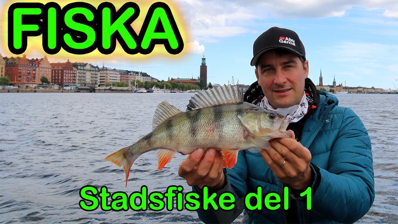 FISKA - Abborre mitt i Stockholm city (del 1)