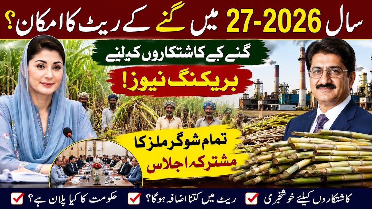 Sugarcane expected rates season 2026-27//sugarcane price in punjab pakistan//new sugarcane rates 