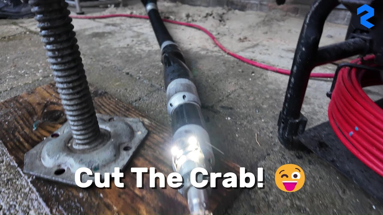 Cut The Crab! 😉