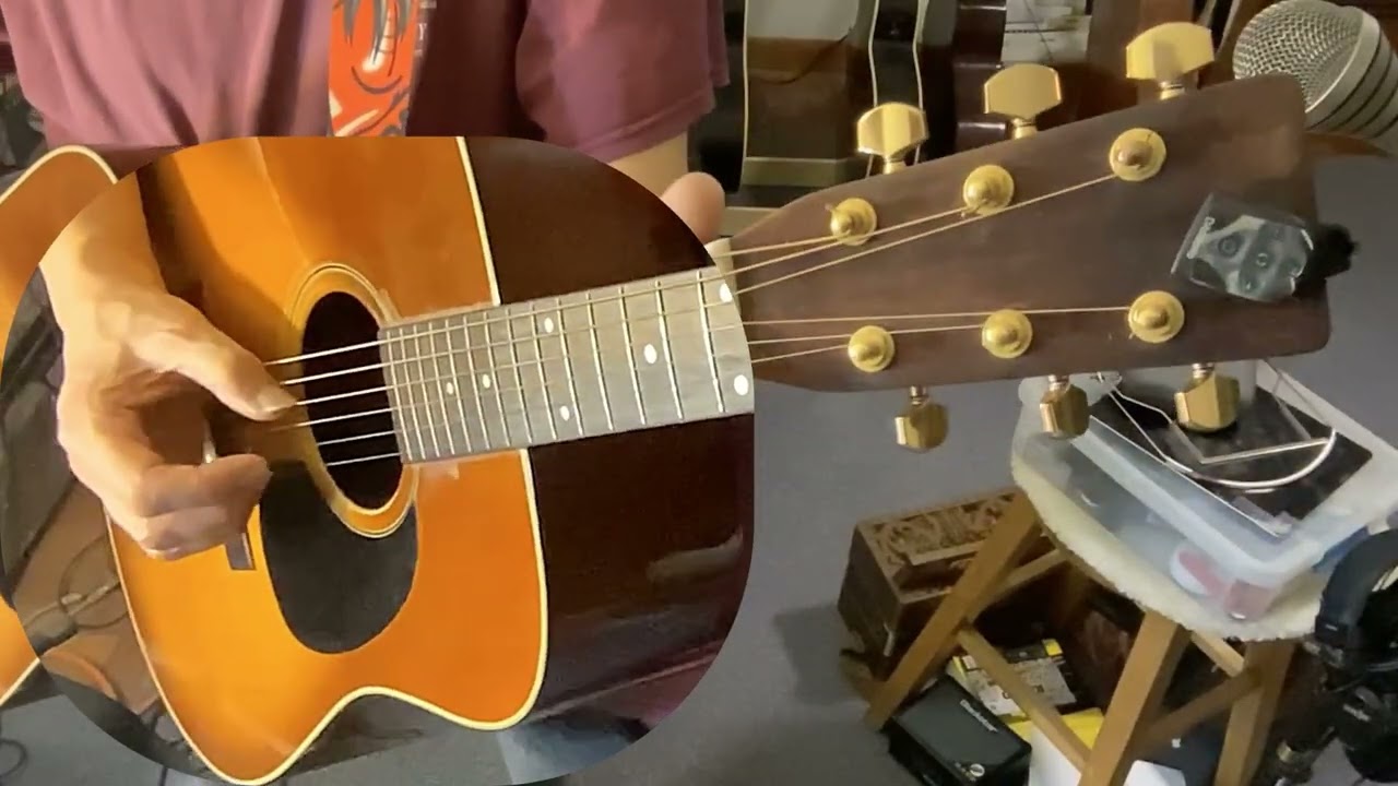 Freight Train (Libba Cotten) Pickalong