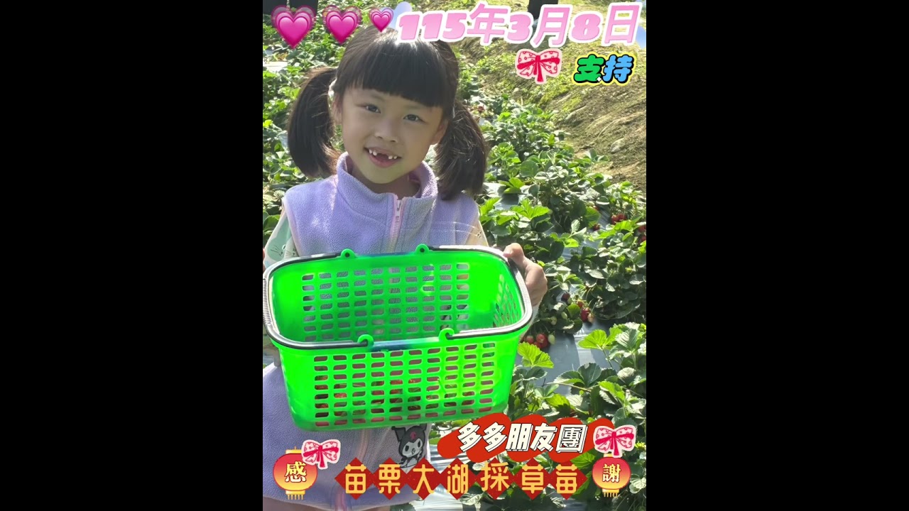 2026年3月8日