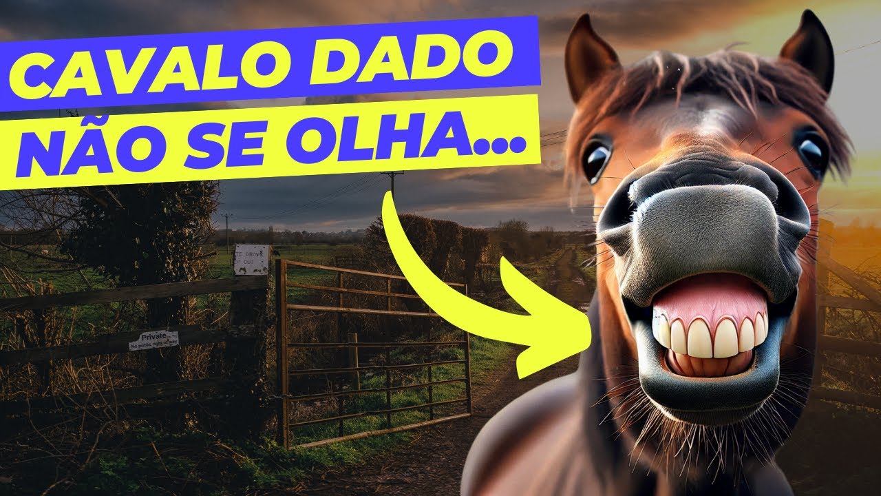 10 EXPRESSÕES QUE USAMOS E VOCÊ NÃO SABE A ORIGEM - 5