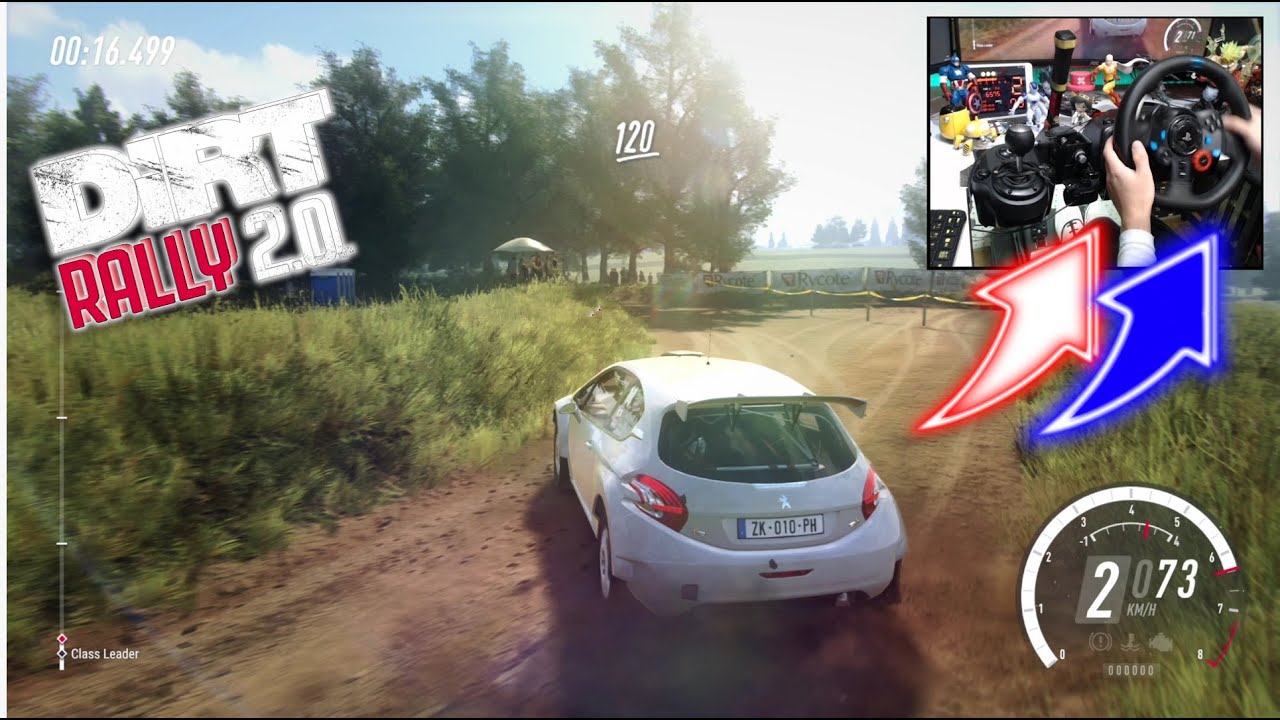 PEUGEOT 208 T16 Poland / Logitech G29 DiRT Rally 2.0