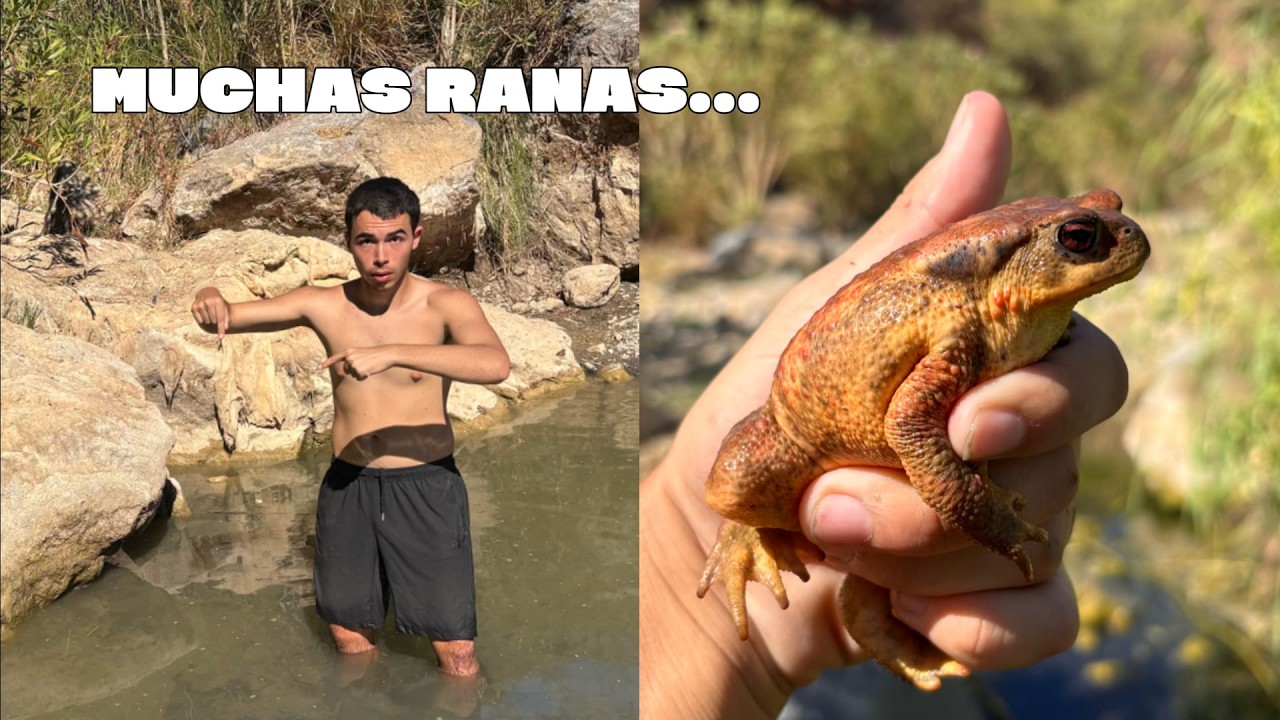 Este RÍO estaba PLAGADO de RANAS...