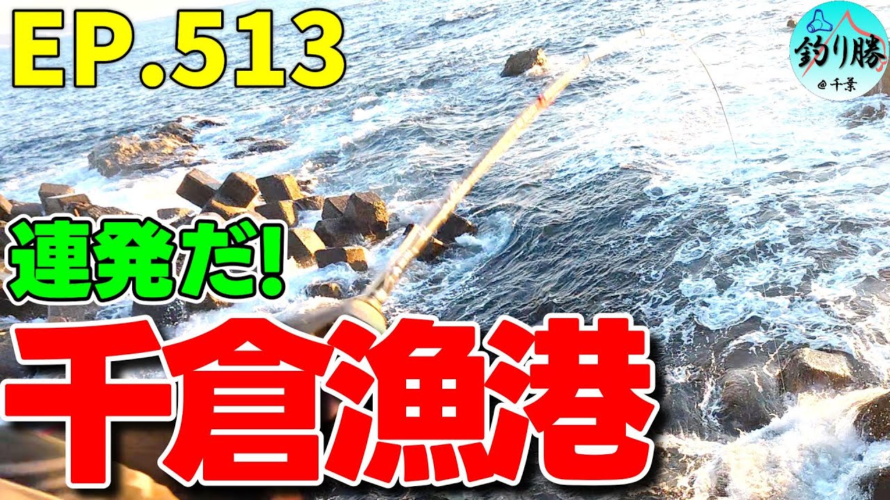 EP.513 南房総穴釣り 好調も水温低下の千倉漁港で良型根魚を狙う