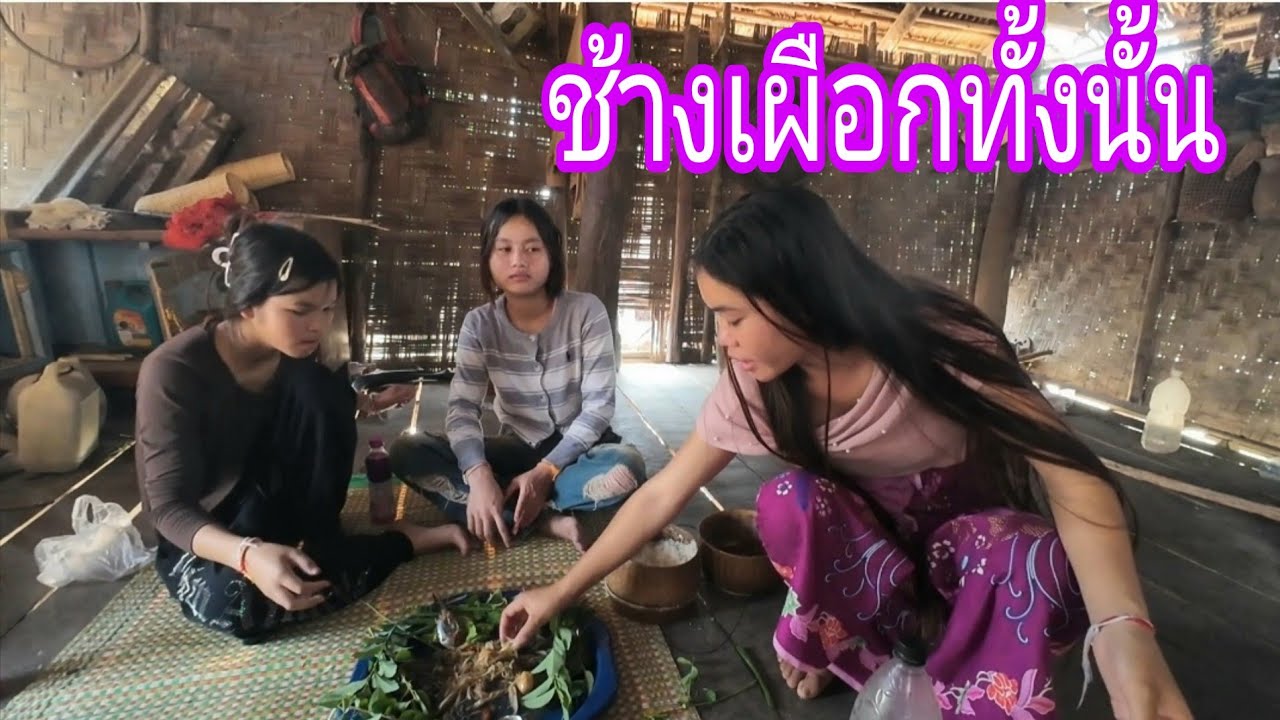 สามเชือกช้างเผือกทั้งนั้น