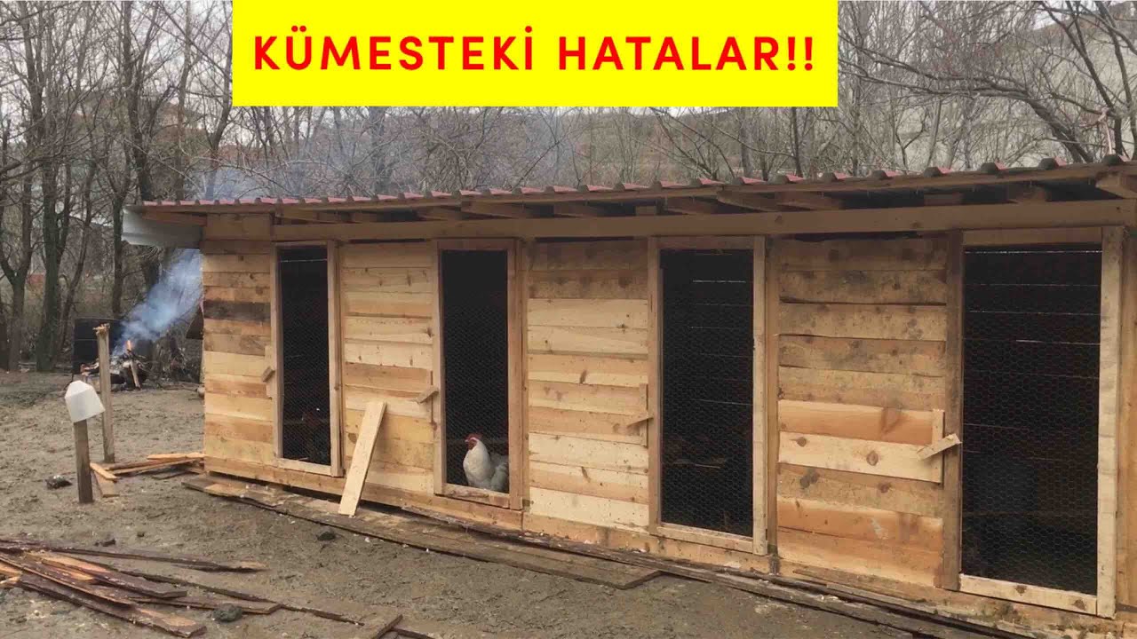 Kümes Yapımında ki Hatalar🤯Ben Yaptım Siz Yapmayın#kümesyapımı#Dikkatsizlikkötüsonuçdoğurabilir