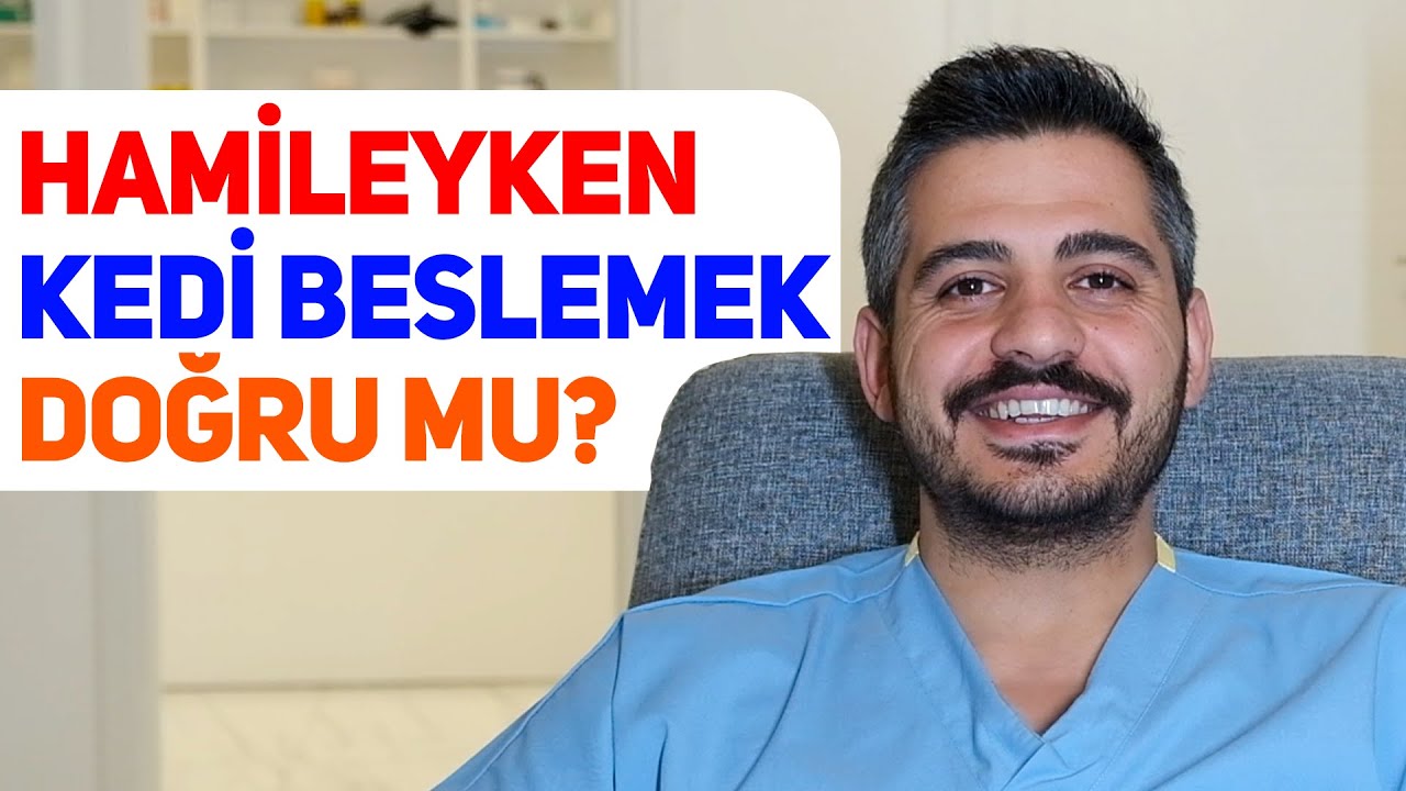 Hamileyken Kedi Beslenir Mi ?
