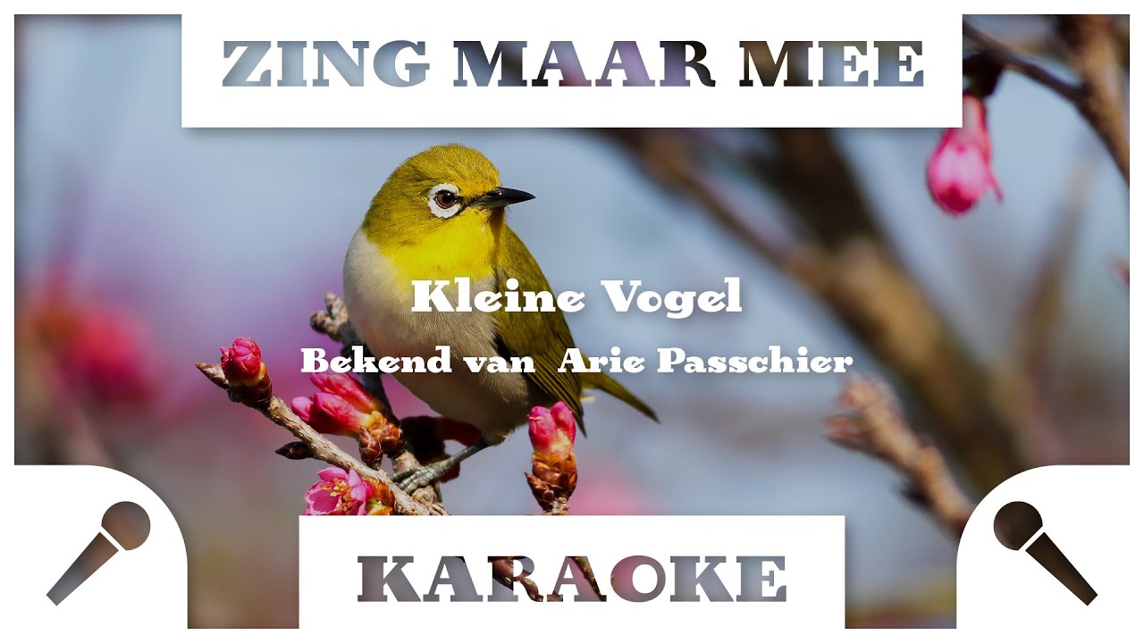 Zing Maar Mee  - Kleine Vogel - Karaoke