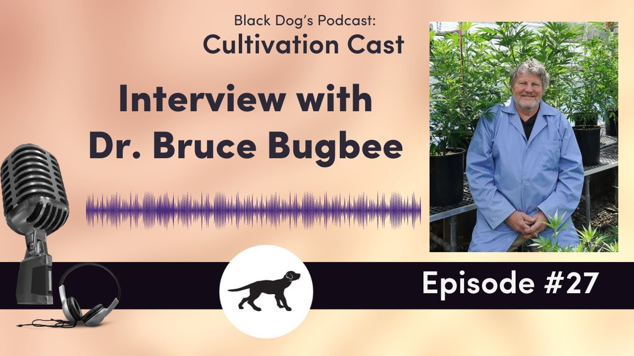 Black Dog LED Cultivation Cast Episode 27: Interview Dr. Bruce Bugbee
