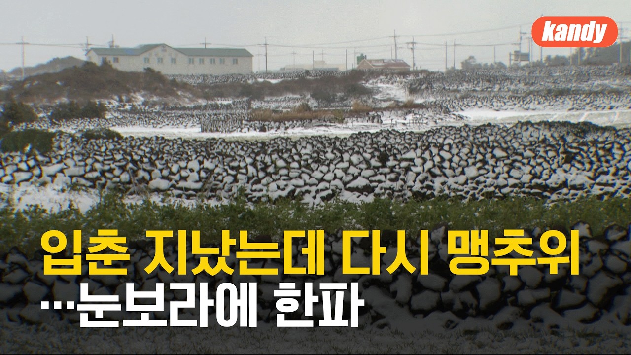 입춘 지났는데 다시 맹추위…제주 밤사이 많은 눈 예보 / KBS  2026.02.07.