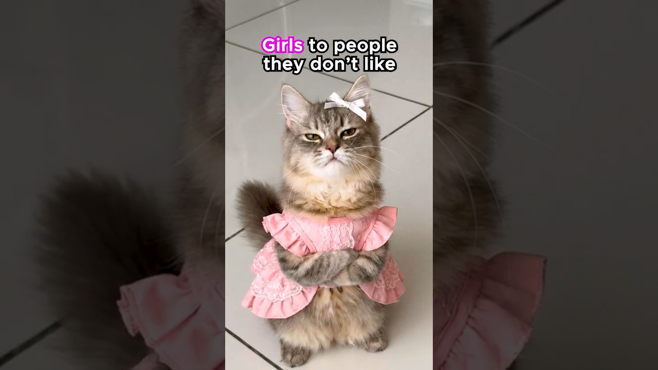 girls are the best actors