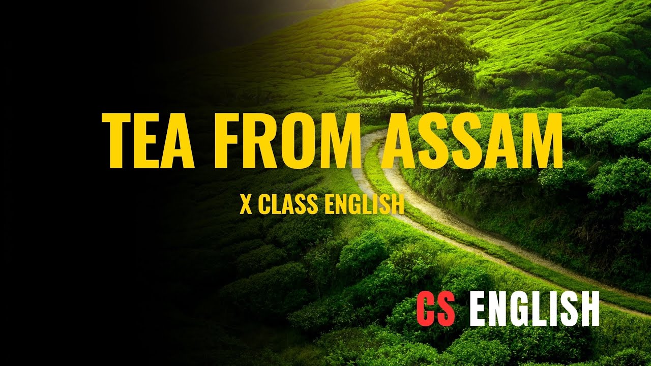 Tea from Assam | Class 10 English Lesson | Explained in Simple Words