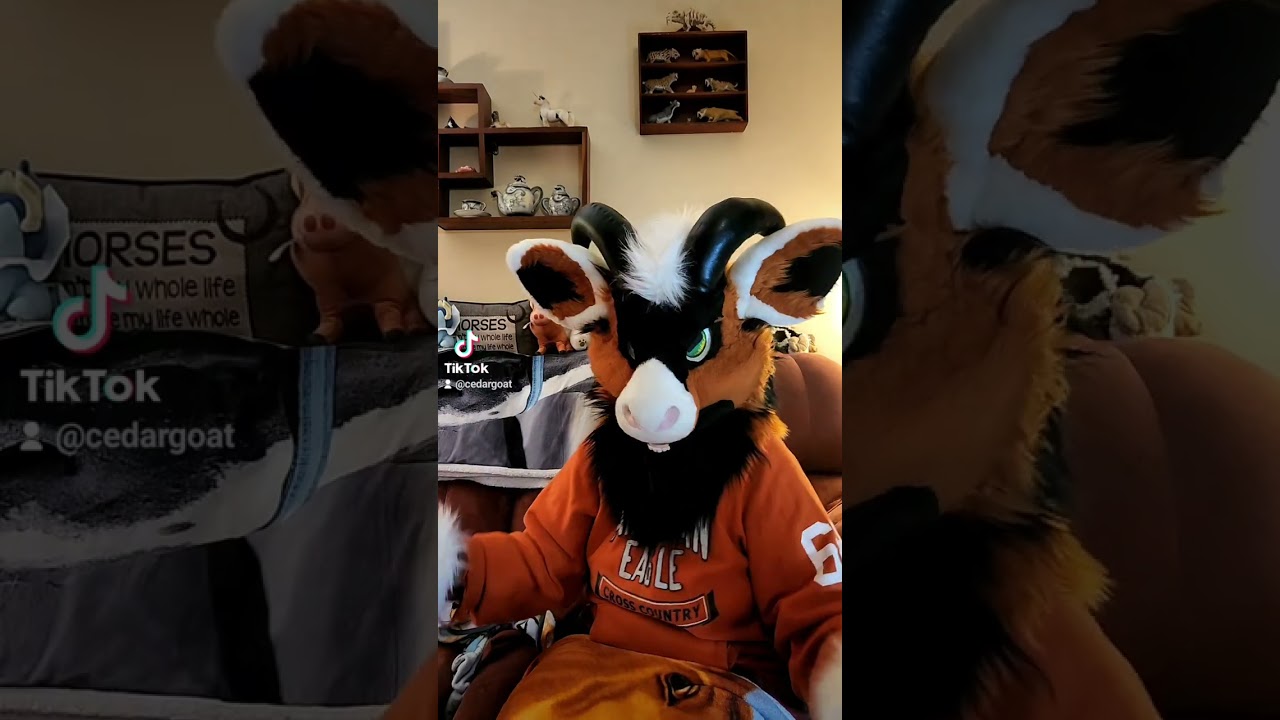 Multiple Sclerosis Awareness #multiplesclerosis #furry #fursuit