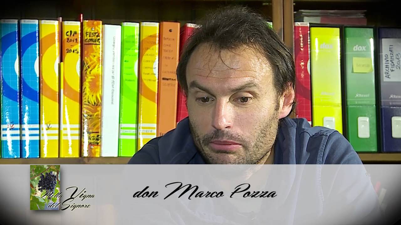 Nella Vigna del Signore - Don Marco Pozza